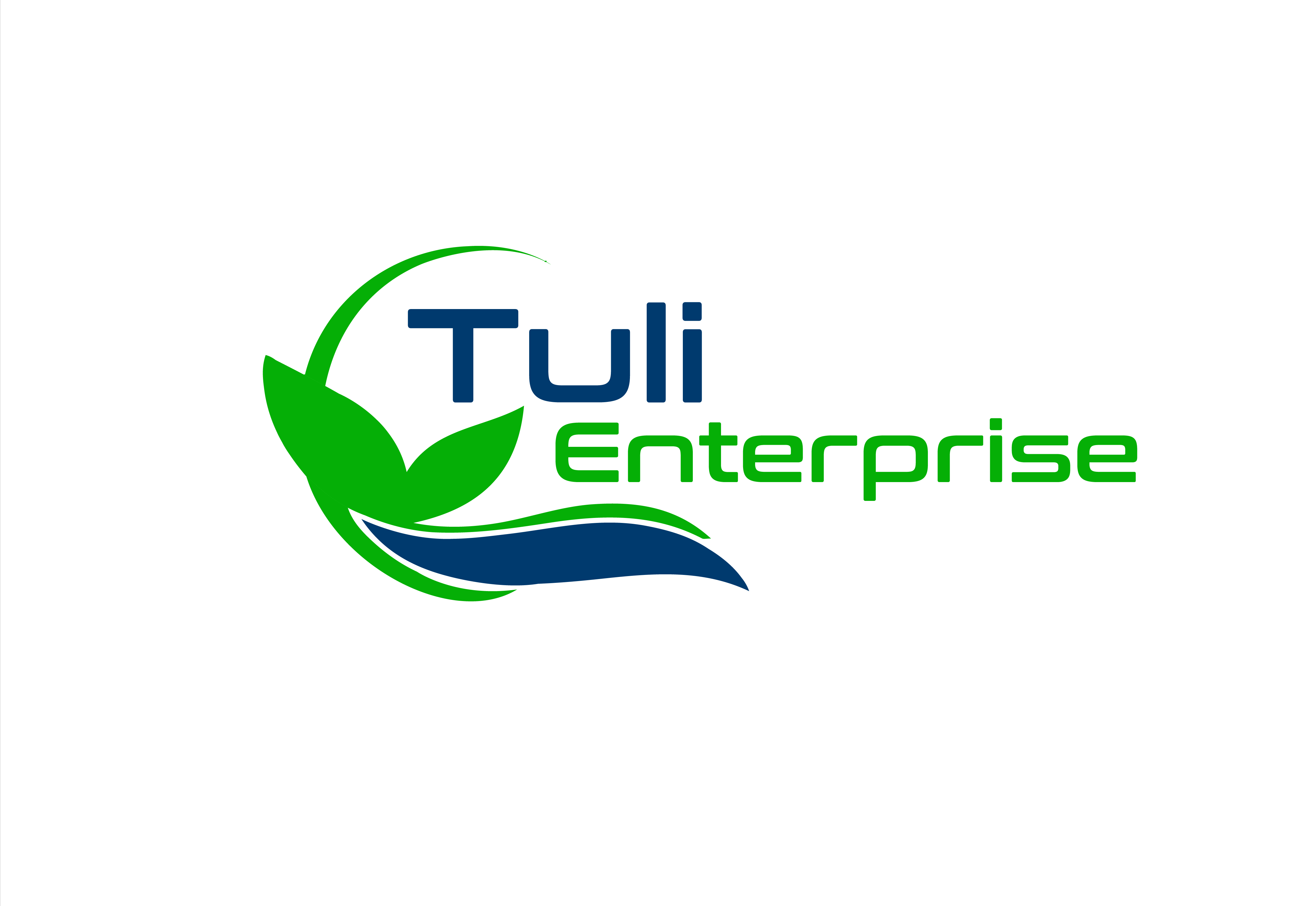 Tuli Enterprise logo